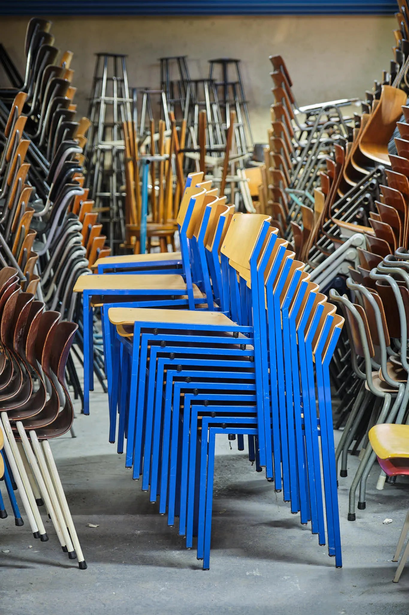 Chaise style Gijs van der Sluis hêtre et bleu Cartel de Belleville
