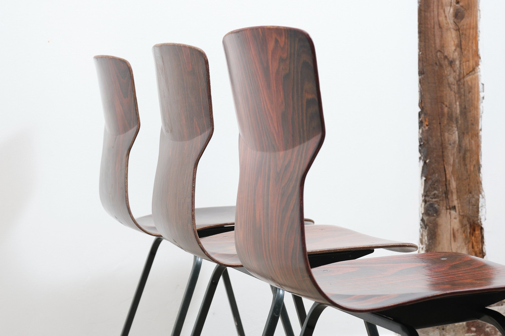 Chaise Eromes E5 ébène / gris